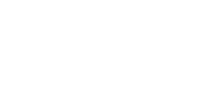 McCane Travel Co